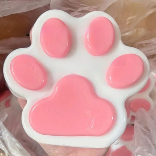 Squishy Patte de Chat Bleu et Rose